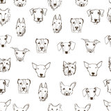 Cats Dogs Themed Wallpaper You Ll Love In 2020 Wayfair