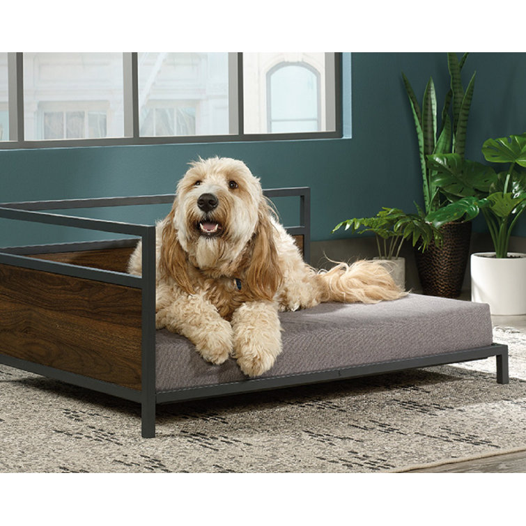 corner dog bed