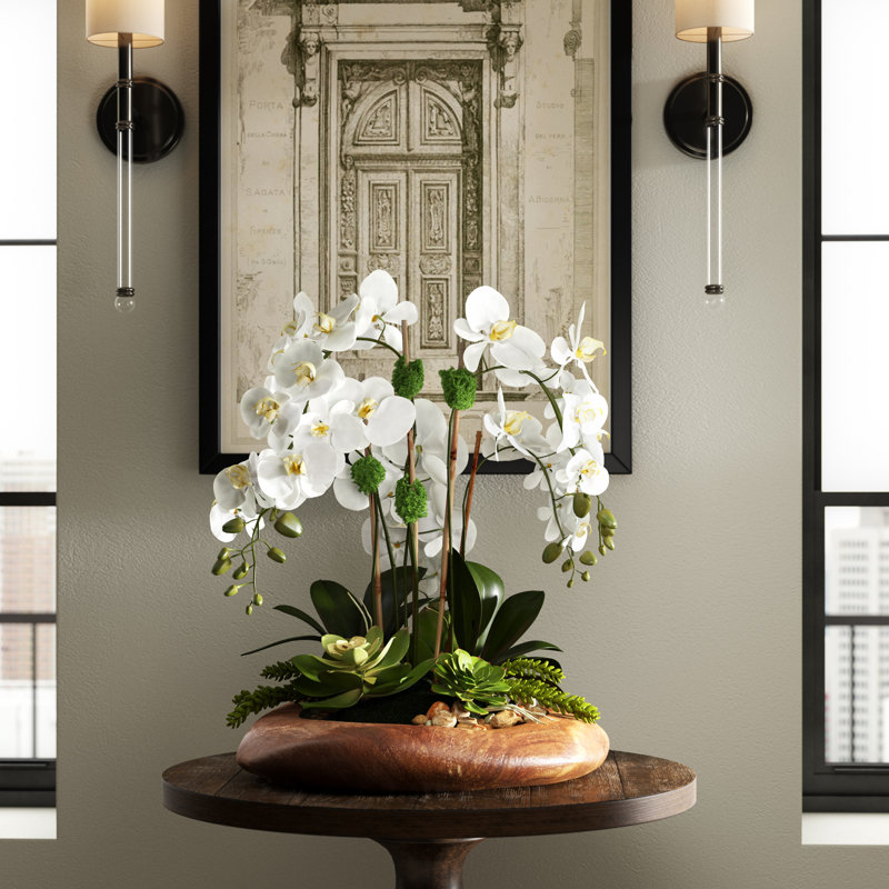 Greyleigh 6 Stem Phalaenopsis Silk Orchids With Succulents Floral Arrangement Reviews Wayfair