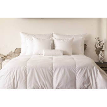 Alwyn Home Light Weight Cotton Sateen Down Comforter Wayfair