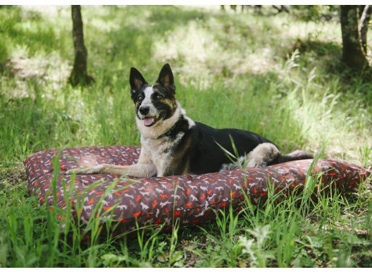 dodger dog bed