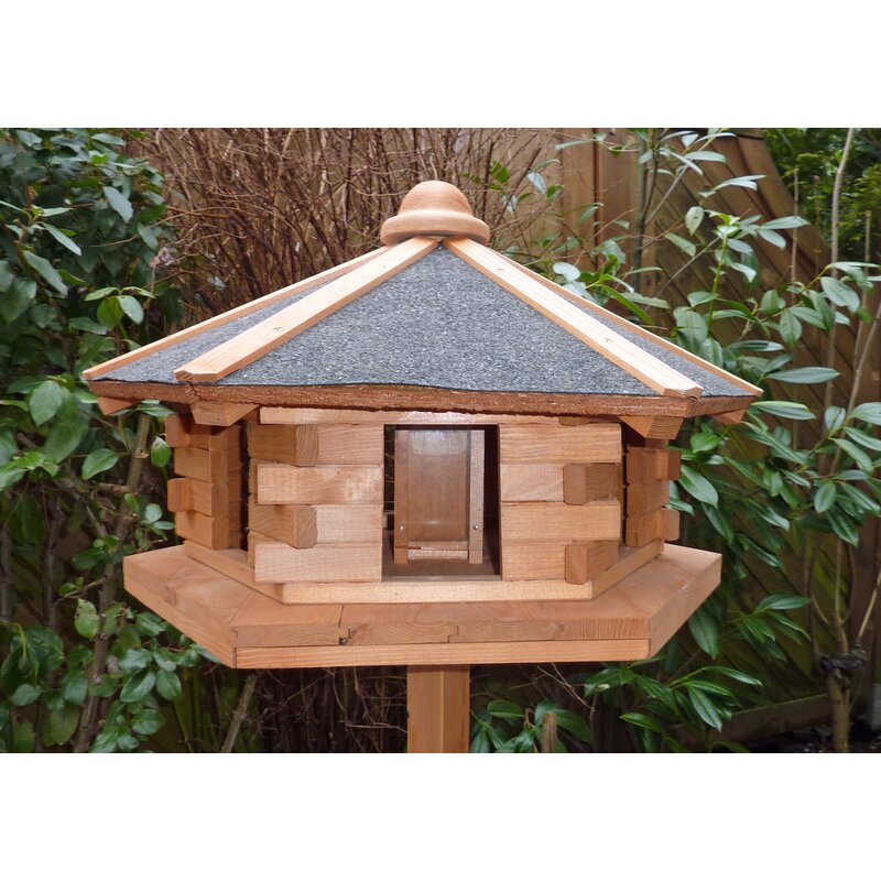 dCor design Basillico Bird House | Wayfair.co.uk