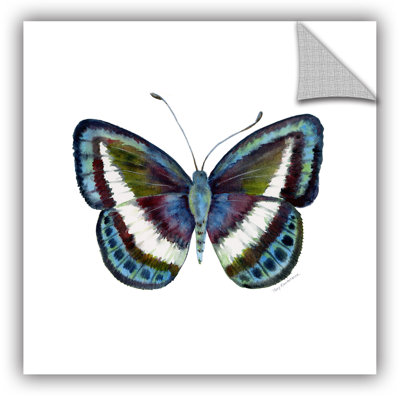 Danis Danis Removable Wall Decal ArtWall Size 14 H x 14 W x 01 D