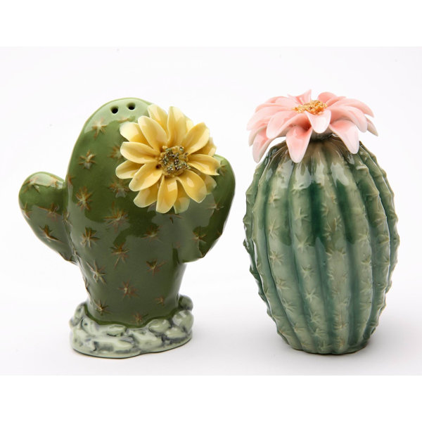 Cosmosgifts Cosmos Gifts Cactus 2 Piece Salt Pepper Set Reviews Wayfair