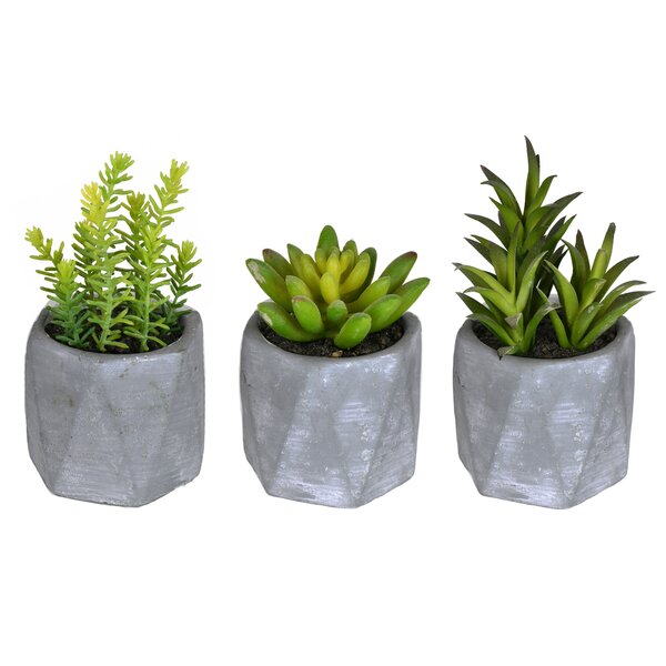 Set of 3 Brown Mini Artificial Succulents Plants in Rustic Wood Barrel  Pots
