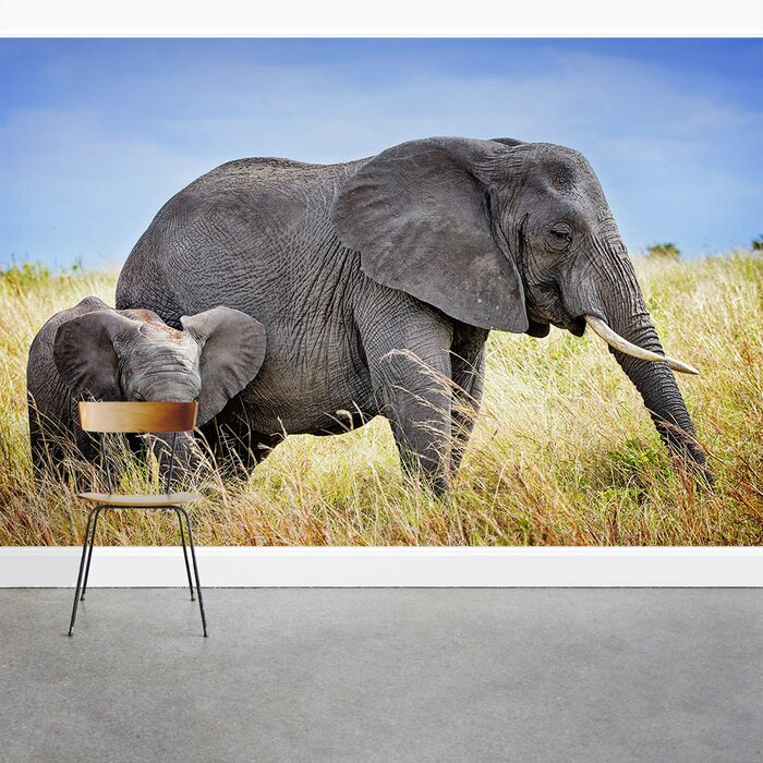 African Elephants 8 X 144 3 Piece Wall Mural Set