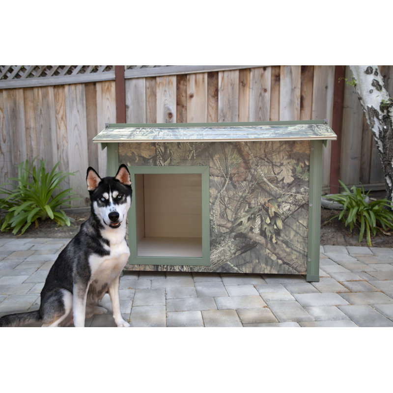 insulated dog house