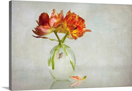 Canvas On Demand Goldfish Bowl By Alida Van Zaane Painting Print