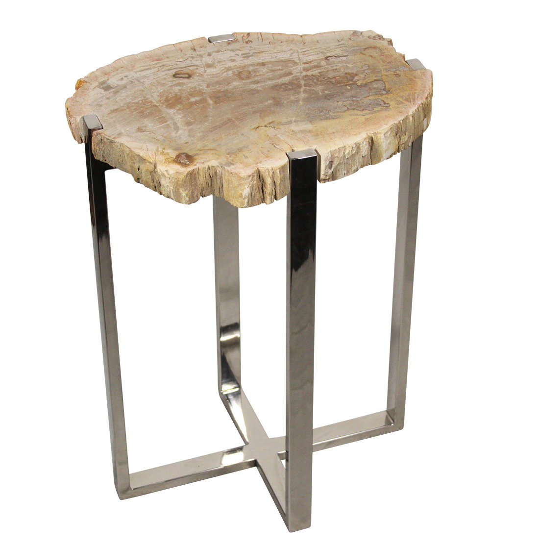Petrified Wood End Table