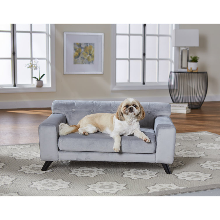 jackson dog sofa