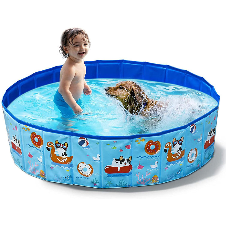 Lattice Routh Foldable Dog Pet Bath Pool Hard Plastic Swimming Pool Bathing Tub Kiddie Pool Portable Collapsible Pet Bath Pool For Large Small Dogs Cats And Kids 47 X 11 8 In Wayfair