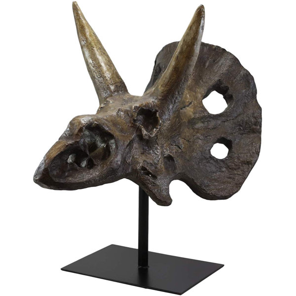 Ebros Elder Jurassic Dragon Head Skull Realistic Fossil Statue 9" Long Figurine 