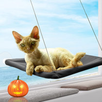 large enclosed cat bed