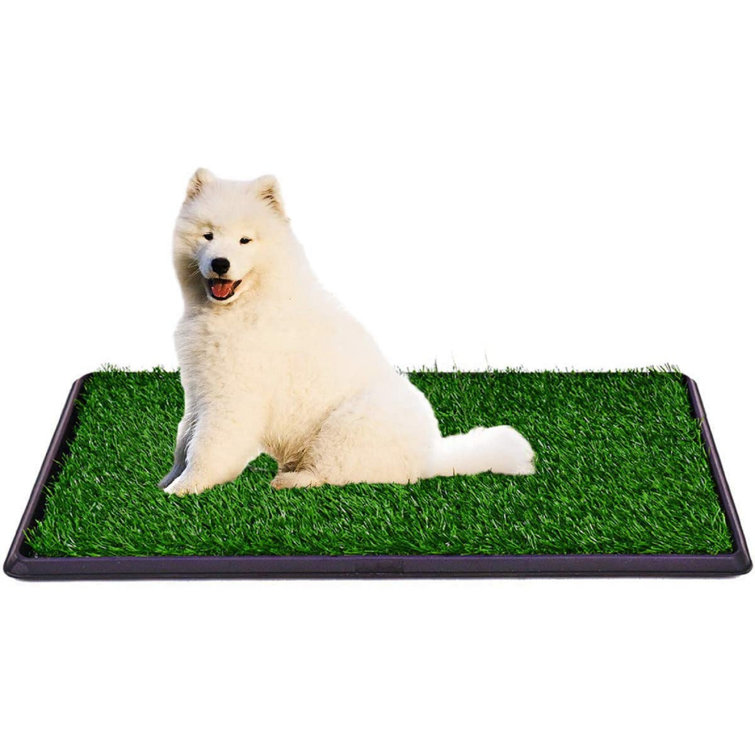 potty grass pads