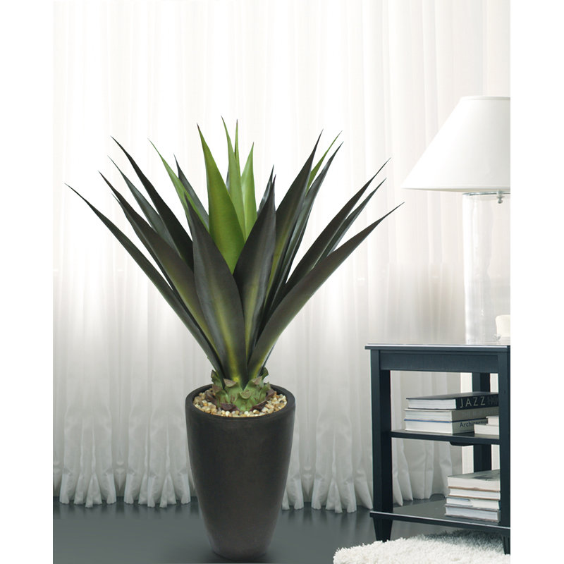 Latitude Run Tall High End Giant Aloe Floor Plant in