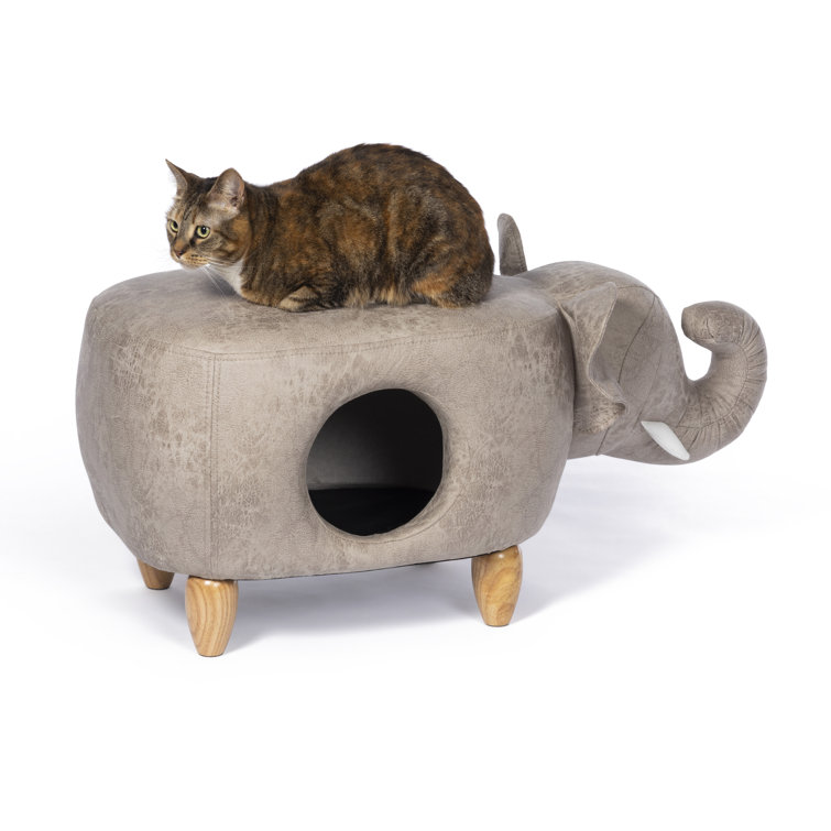 ottoman cat