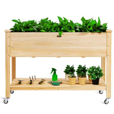 48 x 34 x 63 inch Aoxun Raised Garden Bed for Planting Flower Vegetable Fruit Outdoor Elevated Wood Planter Box with PE Greenhouse Cover in Patio Backyard Balcony Outside 