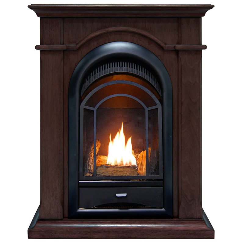 Procom Heating Vent Free Propane Natural Gas Fireplace Wayfair