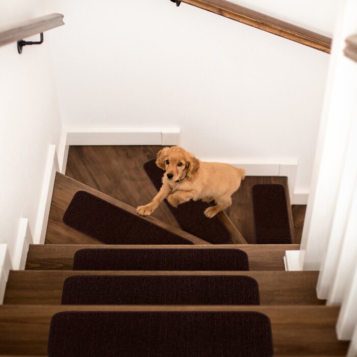 Ebern Designs Absalat Stair Tread & Reviews | Wayfair