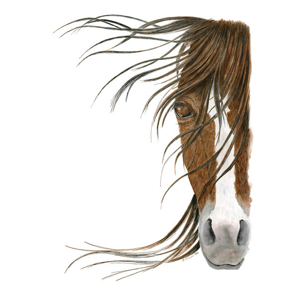 Union Rustic Horse Portrait 2 By Brett Blumenthal Acrylic