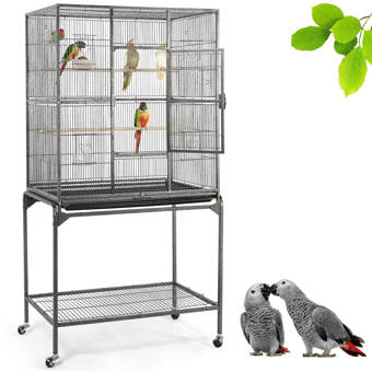 Tucker Murphy Pet Mabel Wrought Iron Flight Cage With Stand Reviews Wayfair