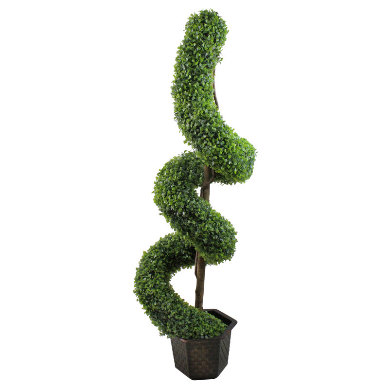 Northlight Two Tone Artificial Boxwood Spiral Topiary Tree In Pot Wayfair