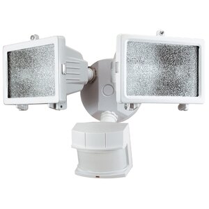 Schaefer 2-Light Flood Light