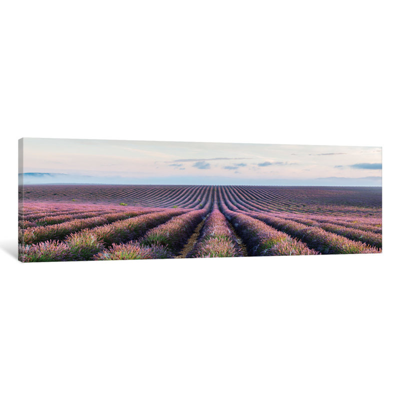 East Urban Home 'Lavender Field, Provence, France ... Find all of the best wayfair coupons live now on insider coupons.