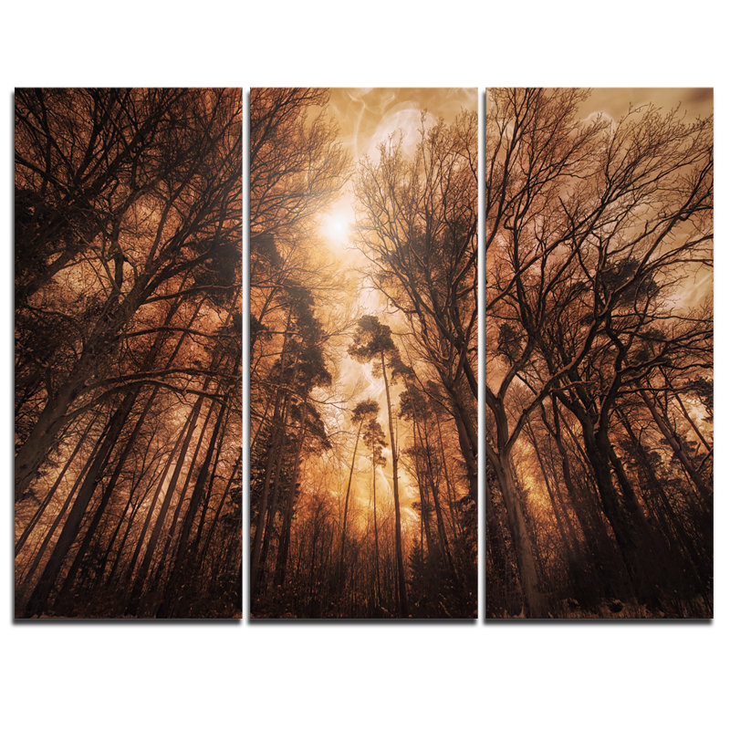 Designart Picturesque Autumn Forest 3 Piece Graphic Art On Wrapped Canvas Set Wayfair