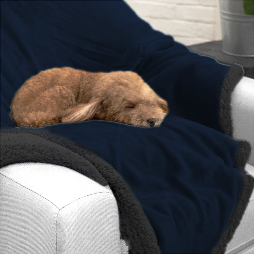 dog blanket for sofa