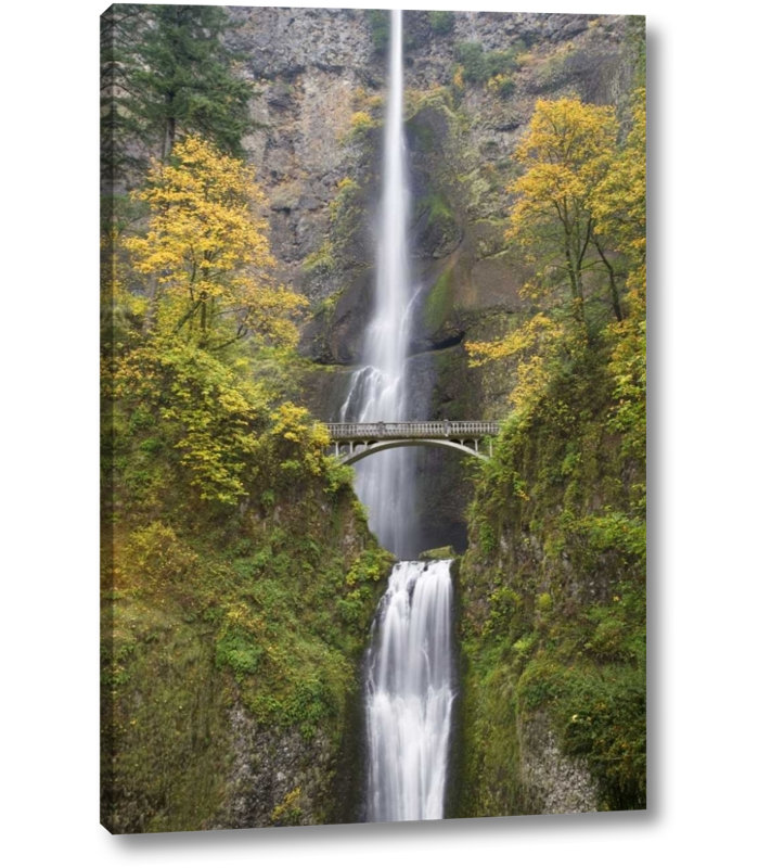 Millwood Pines Or Columbia Gorge Bridge By Multnomah Falls