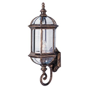 Lenzburg 1-Light Outdoor Sconce