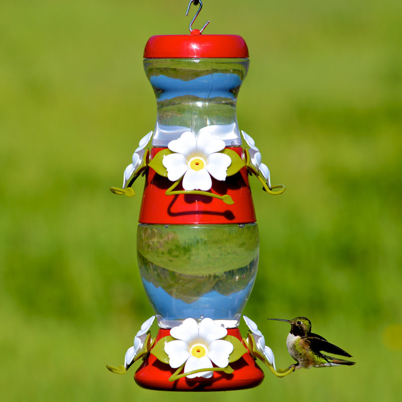 Perky Pet Double Deck Plastic Hummingbird Feeder Reviews Wayfair