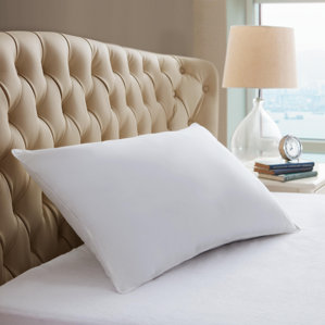 SofLof Polyfill Pillow (Set of 2) by Pur Luxe