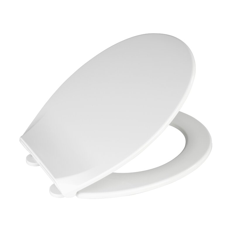 Belfry Bathroom Vivaldi Soft Close Round Toilet Seat & Reviews ...