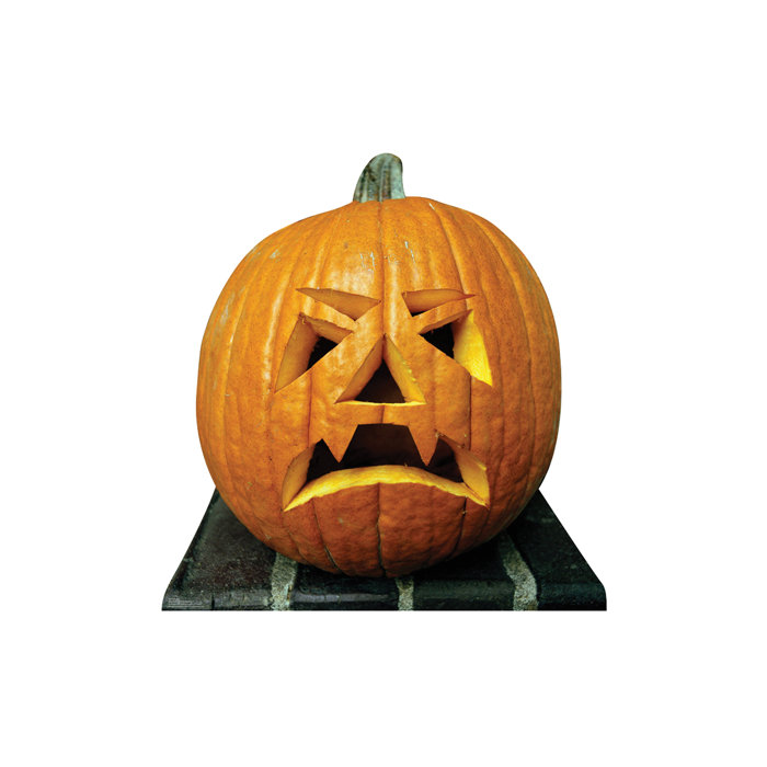 Advanced Graphics Halloween Single Pumpkin Cardboard StandUp Wayfair
