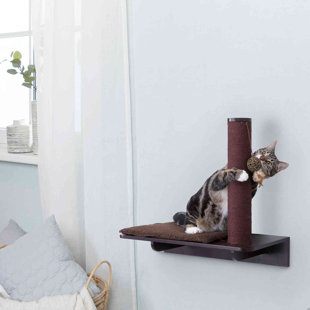 1 Level Wall Mounted Cat Scratchers Scratching Posts You Ll Love