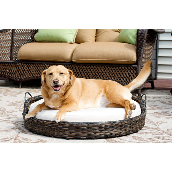 rattan dog sofa