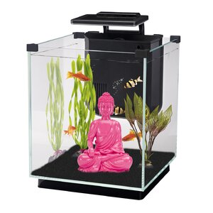 Simplicity 5.5 Gallon Desktop Aquarium Tank