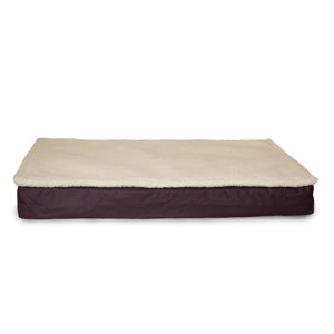 Blitzen Deluxe Outdoor Memory Foam Dog Bed with Removable Cover