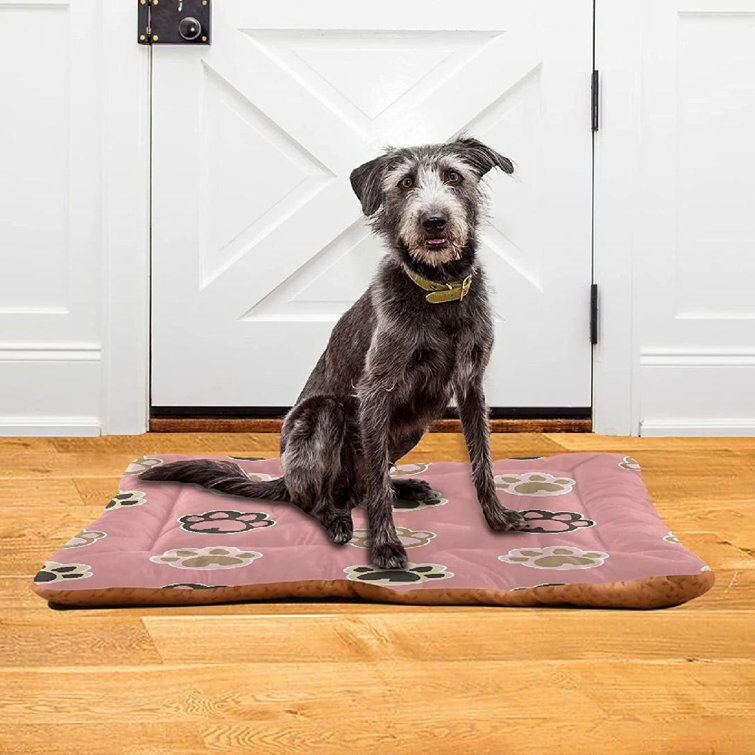 anti dog mat