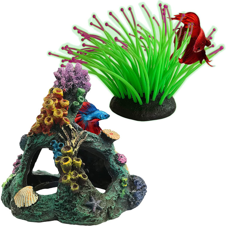 betta fish tank decor