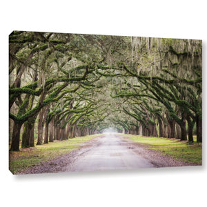 'Oak Trees with Spanish Moss in Savanna Georgia' by Cody York Photographic Print on Wrapped Canvas