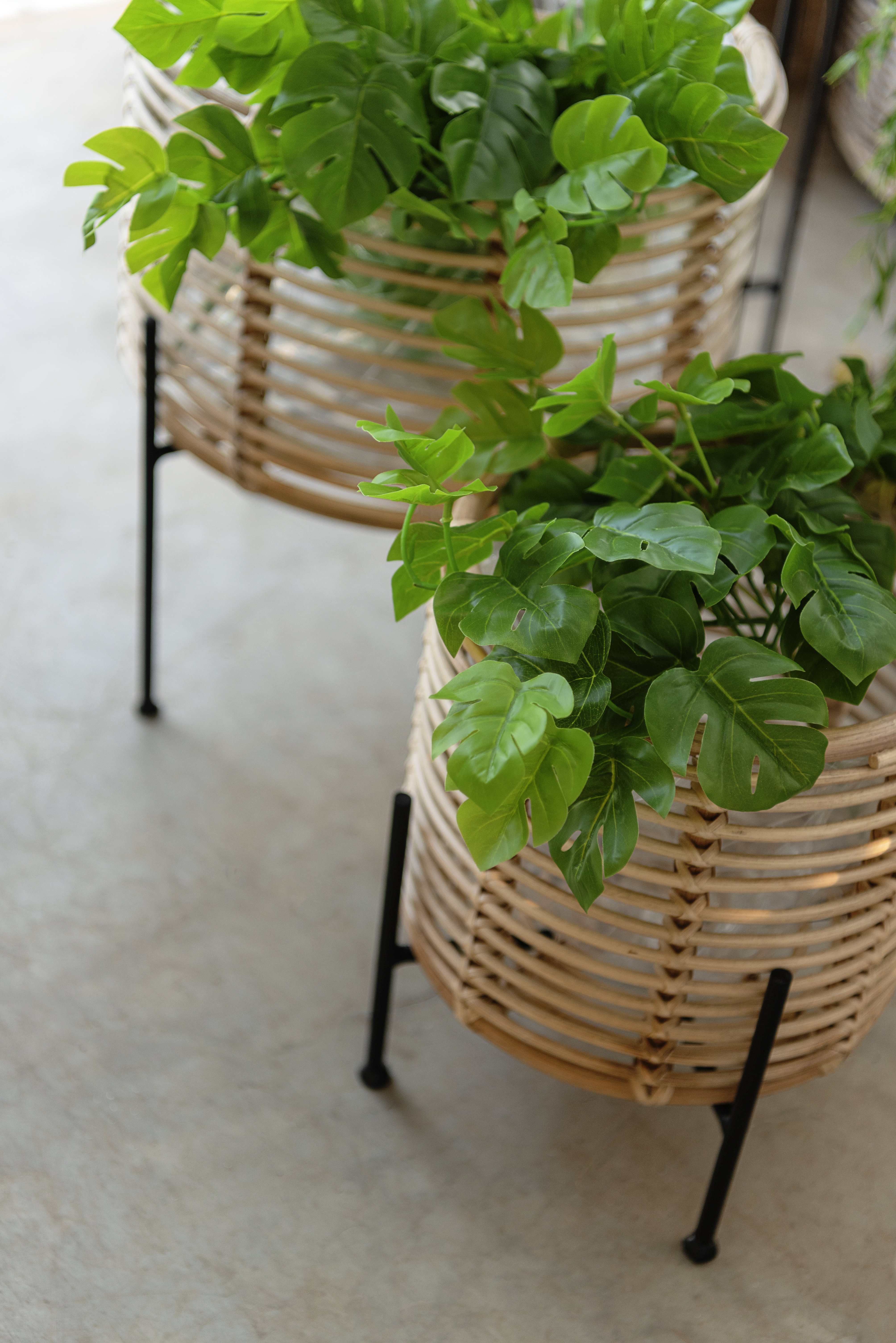 wayfair standing planter on Bayou Breeze Zyaire Wicker Rattan Cachepot Wayfair