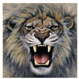 Lion Wall Art You Ll Love In 2020 Wayfair