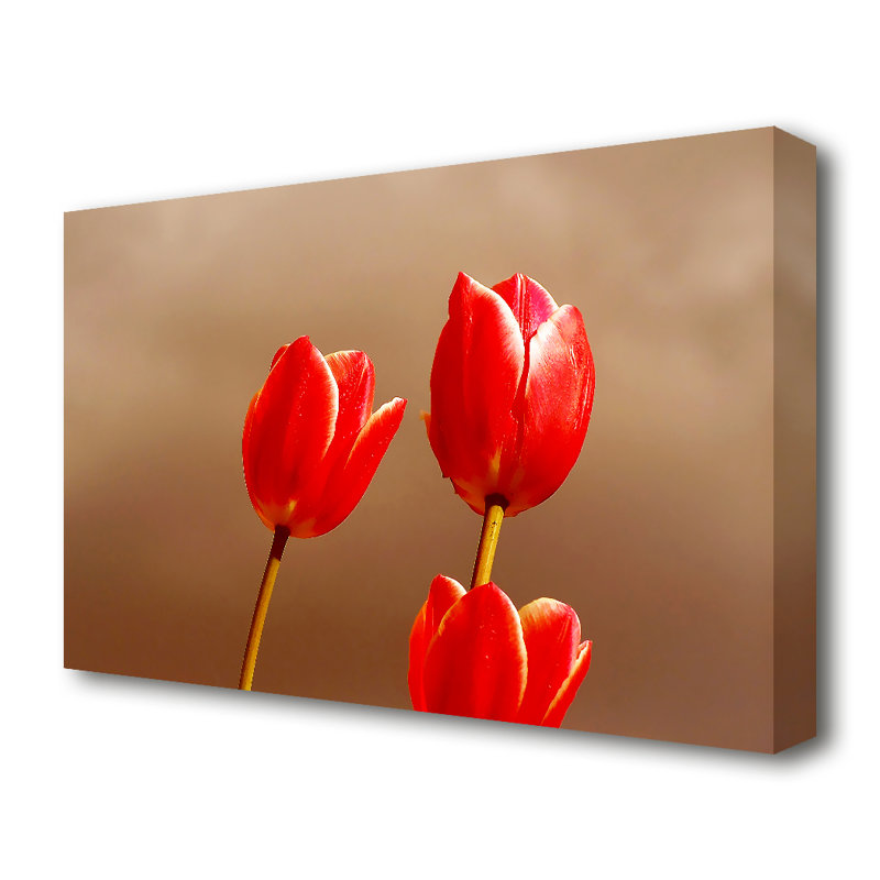 East Urban Home Red Tulip Trio Flowers Canvas Print Wall Art Wayfair Co Uk