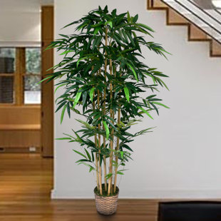Tall Indoor Fake Trees | Wayfair Tall Indoor Fake Trees | Wayfair
