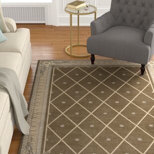 Mink Rug Wayfair