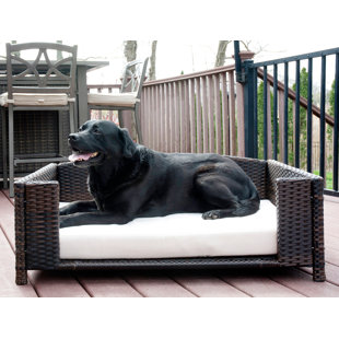 wicker outdoor dog bed