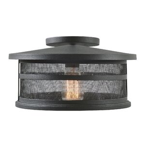 Renay 1-Light Outdoor Semi Flush Mount